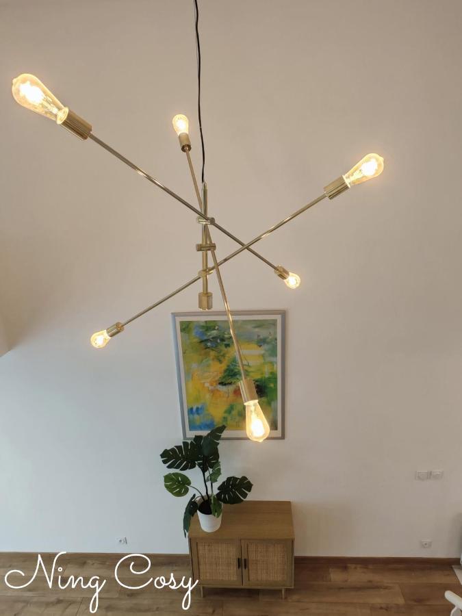 וילאורבן Superbe Cosy Duplex Appartement T3 Charpenne Tete D'Or Avec Parking Prive Gratuit מראה חיצוני תמונה