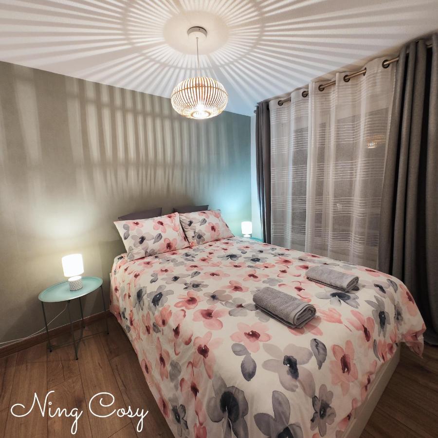 וילאורבן Superbe Cosy Duplex Appartement T3 Charpenne Tete D'Or Avec Parking Prive Gratuit מראה חיצוני תמונה