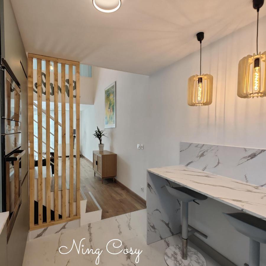 וילאורבן Superbe Cosy Duplex Appartement T3 Charpenne Tete D'Or Avec Parking Prive Gratuit מראה חיצוני תמונה