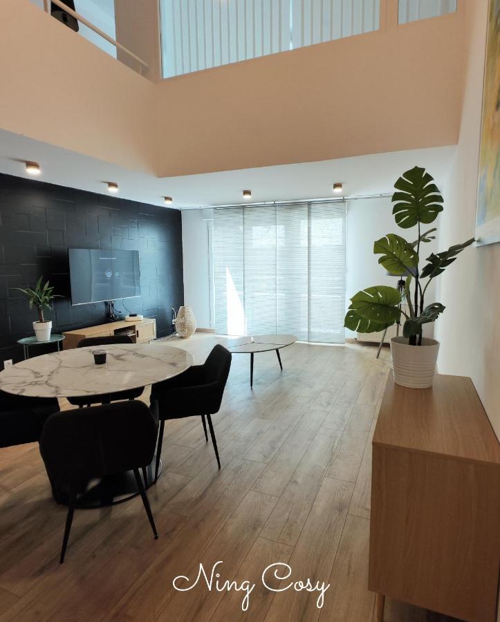 וילאורבן Superbe Cosy Duplex Appartement T3 Charpenne Tete D'Or Avec Parking Prive Gratuit מראה חיצוני תמונה